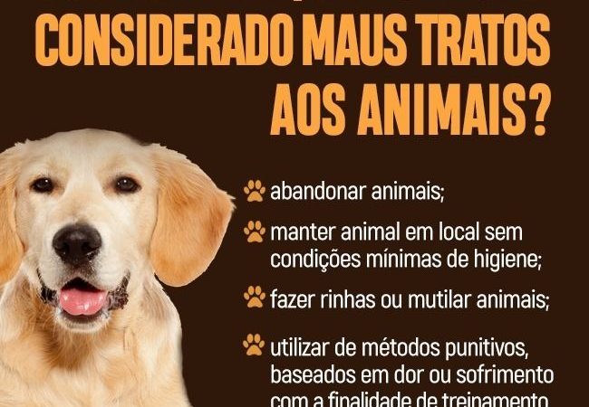 Clínicas veterinárias e pet shops devem denunciar violência contra animais