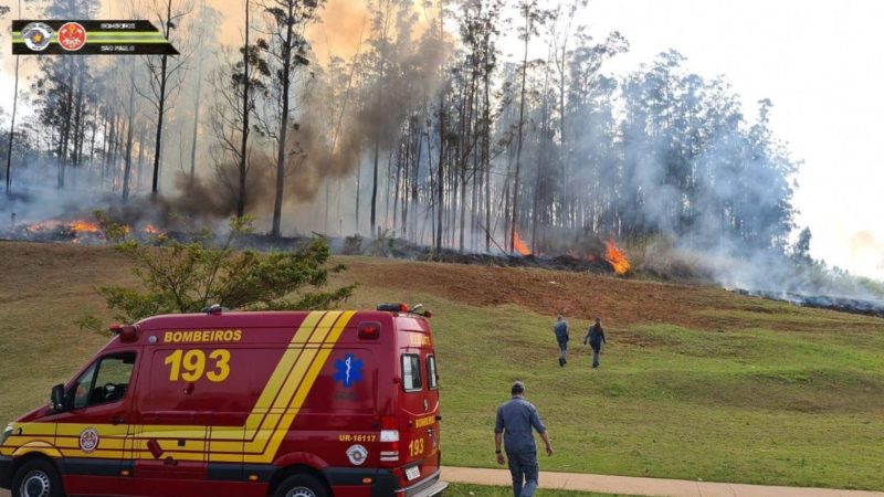 Queda de avião causa morte de sete pessoas no interior de São Paulo