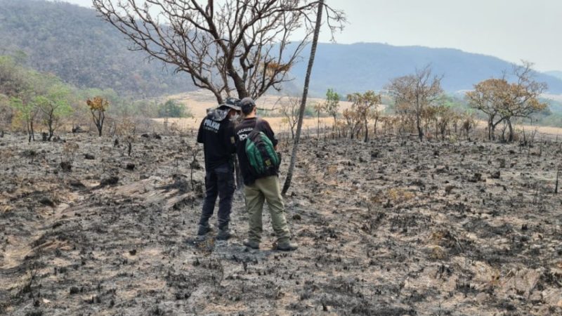 PCGO tem 3 inquéritos em fase de conclusão sobre incêndios na Chapada dos Veadeiros