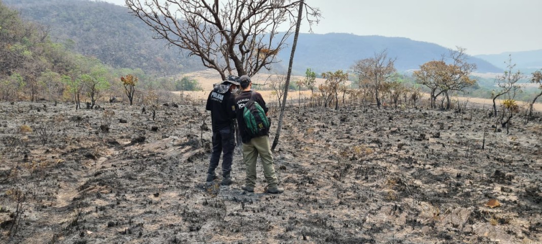 PCGO tem 3 inquéritos em fase de conclusão sobre incêndios na Chapada dos Veadeiros