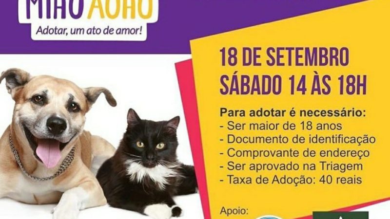 Grupo Miau Auau realiza Tarde de Adoção de animais neste sábado