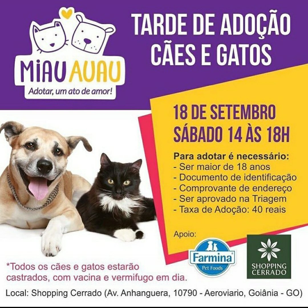 Grupo Miau Auau realiza Tarde de Adoção de animais neste sábado