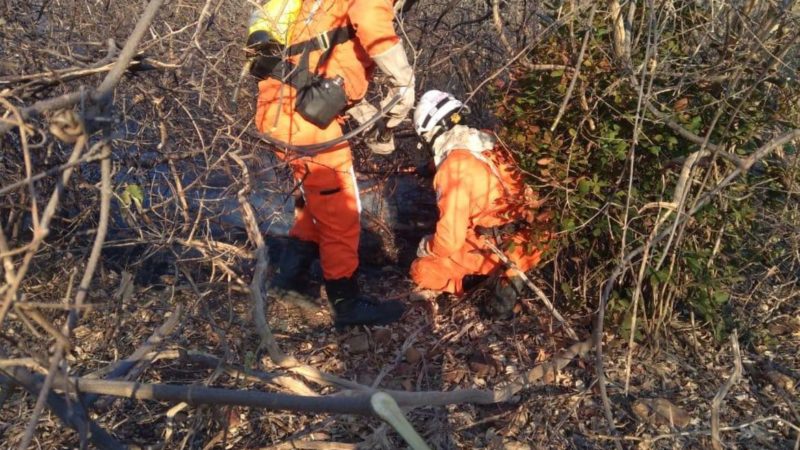 Meteorologia alerta para riscos da seca em seis estados e no DF