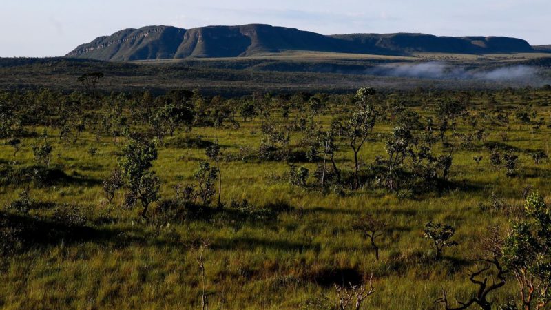 Pesquisadores pedalam 413 Km para defender conservação do Cerrado