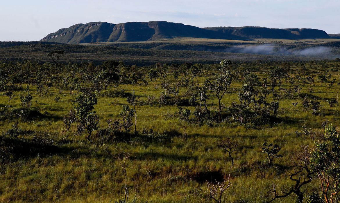 Pesquisadores pedalam 413 Km para defender conservação do Cerrado