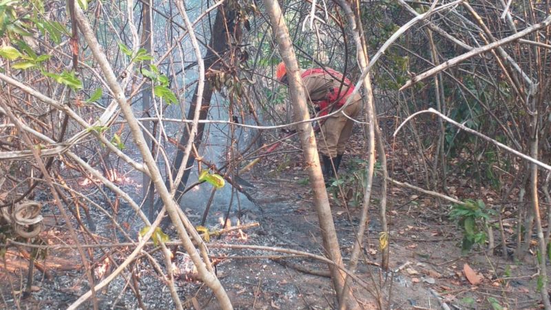 PCGO indicia quatro pessoas por incêndios na Chapada