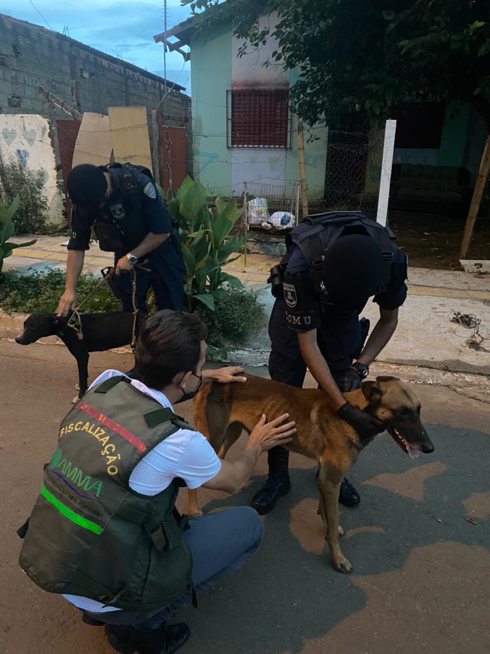 Homem é multado em R$ 10 mil e autuado por maus-tratos a animais