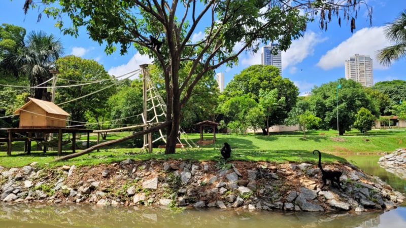 Zoológico de Goiânia reinaugura ilhas dos primatas no domingo