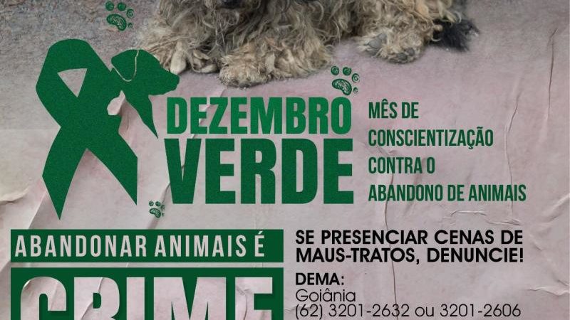 OAB-GO lança campanha Dezembro Verde para conscientização contra abandono de animais