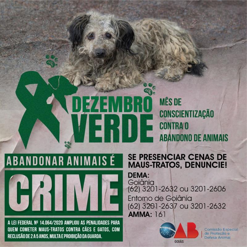 OAB-GO lança campanha Dezembro Verde para conscientização contra abandono de animais