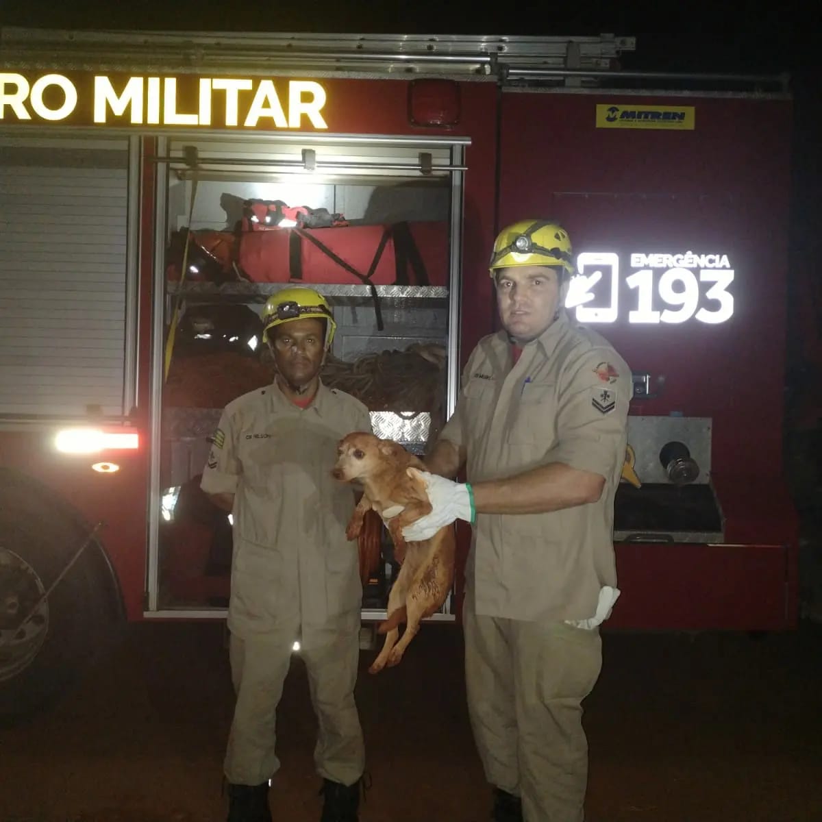 Corpo de Bombeiros resgata cachorro em buraco de 6 metros de profundidade