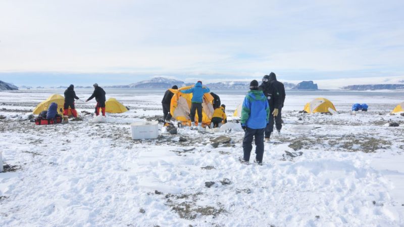 Antártica: micróbios podem ajudar limpeza de plásticos