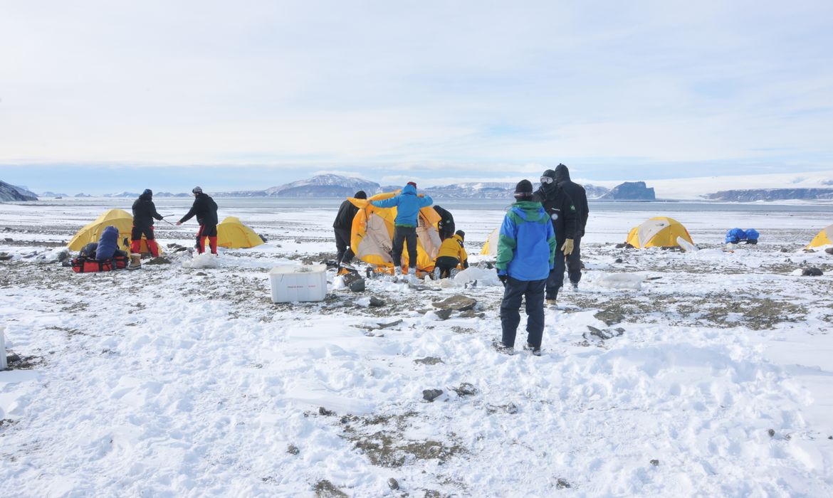 Antártica: micróbios podem ajudar limpeza de plásticos