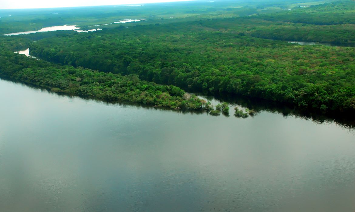 Apenas 7% dos rios da Mata Atlântica apresentam água de boa qualidade