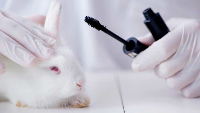 Cosméticos fabricados com testes em animais não poderão ser vendidos em Goiânia