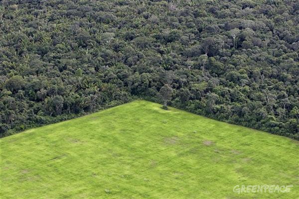 Código Florestal completa 10 anos