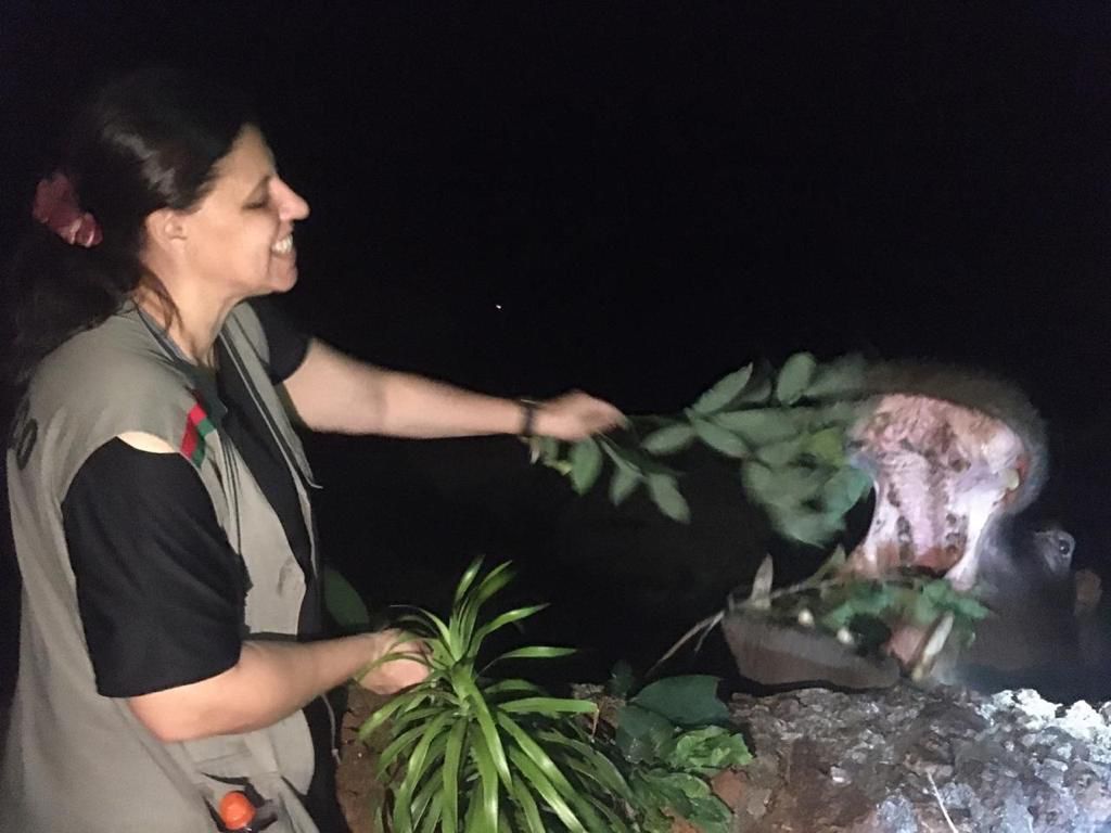 Alunos da rede municipal de Educação participam de visita guiada noturna ao Zoológico de Goiânia