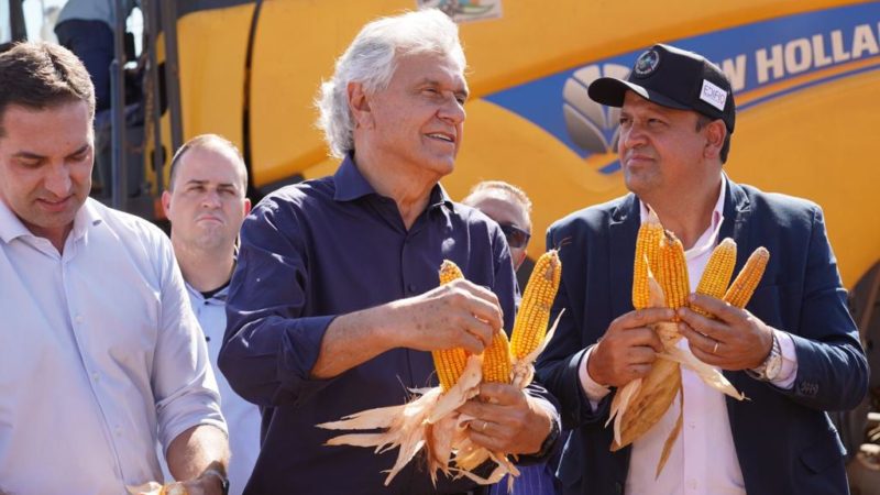 Caiado participa da abertura da colheita do milho safrinha, em Caldas Novas