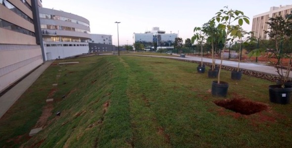 Nova sede da Alego terá um bosque com plantas nativas do cerrado