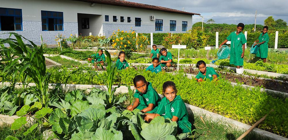 Senado aprova dividir ensino rural entre teoria e prática