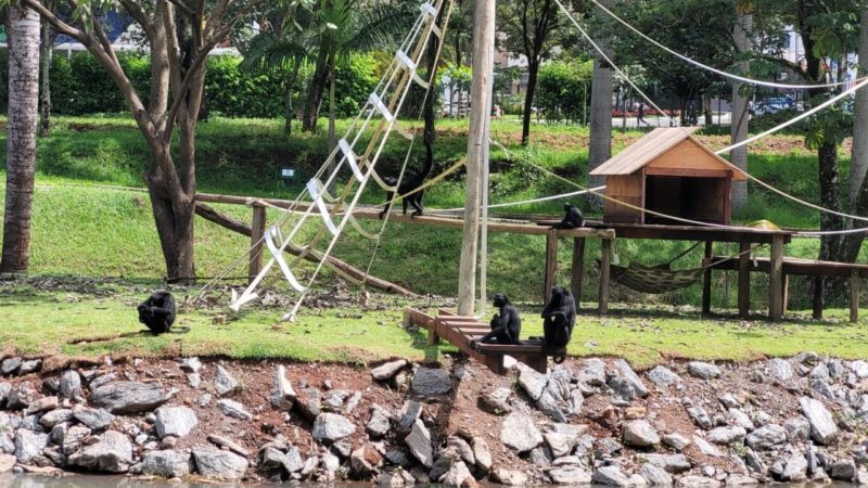 Profissionais contratados para operar brinquedos e bilheterias do Mutirama e Zoológico passam por treinamento, a partir desta quinta-feira (23/06)