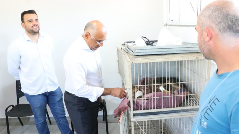 Prefeitura de Goiânia duplica número de castrações de animais na Upavet