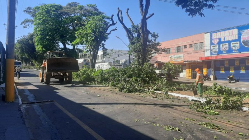 Prefeitura retira jamelões que causavam acidentes na Avenida Fued Sebba