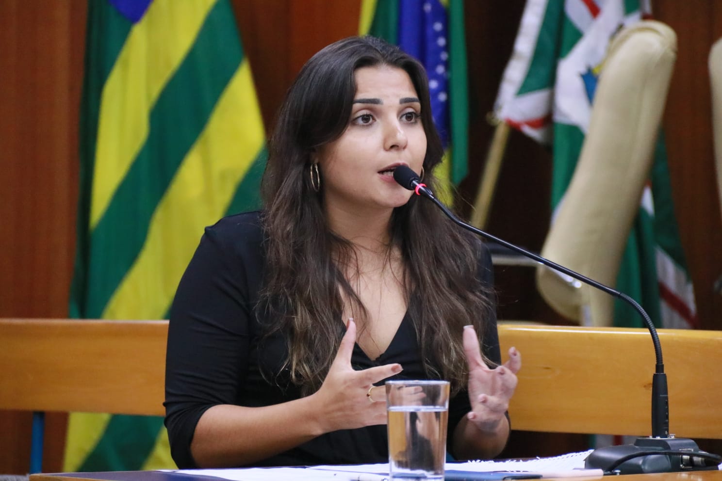 Sabrina Garcez quer atualizar leis que regulam parcerias e articular fomento ao terceiro setor