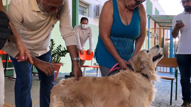 Prefeitura de Goiânia disponibiliza três postos de vacinação antirrábica para animais durante todo o ano, gratuitamente