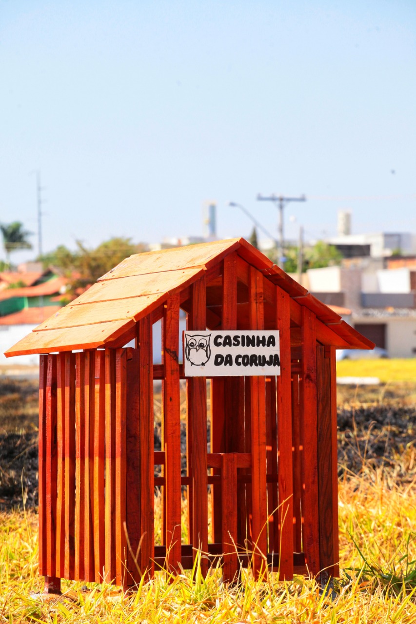 Prefeitura instala seis novos abrigos para corujas em praças de Goiânia