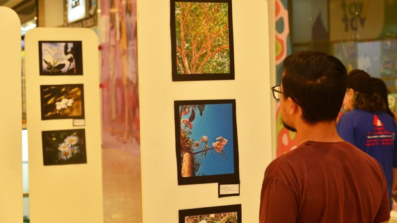 Exposição Cerrado segue até 25 de setembro em Aparecida