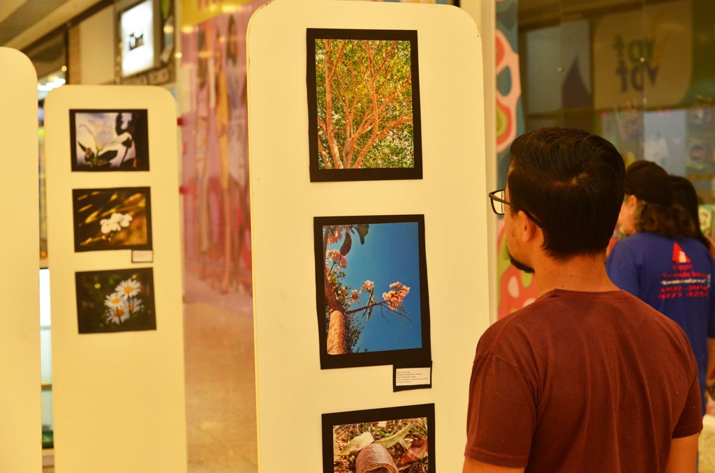 Exposição Cerrado segue até 25 de setembro em Aparecida