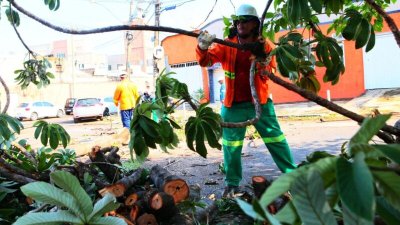 Prefeitura de Goiânia realiza frentes de serviços de limpeza pública e urbanização no feriado prolongado da Proclamação da República