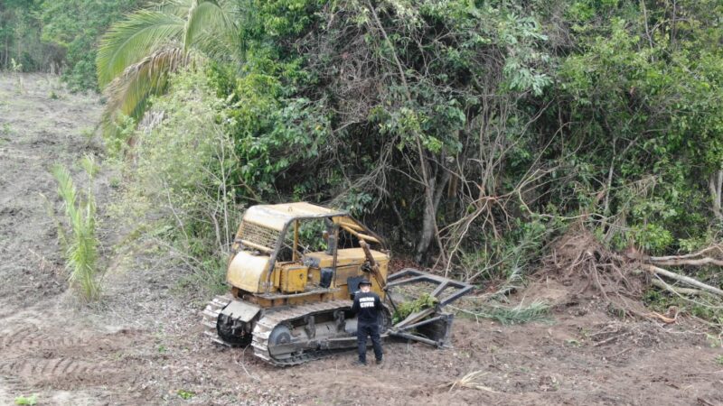 DEMA flagra desmatamento em área de preservação permanente em Jussara