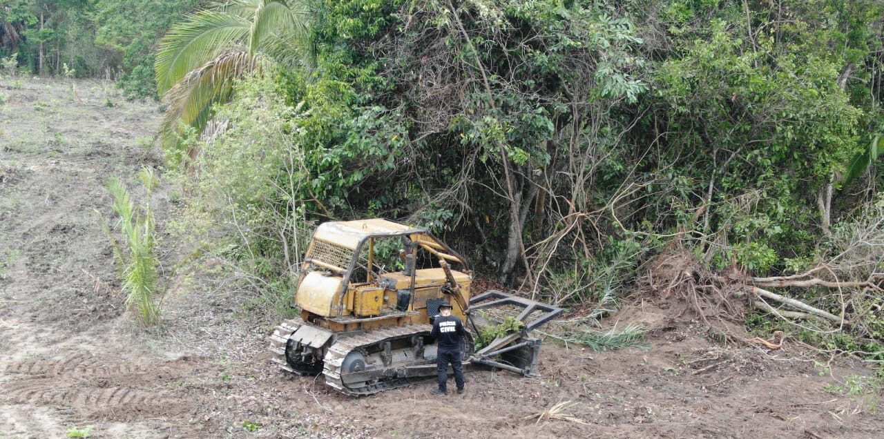 DEMA flagra desmatamento em área de preservação permanente em Jussara