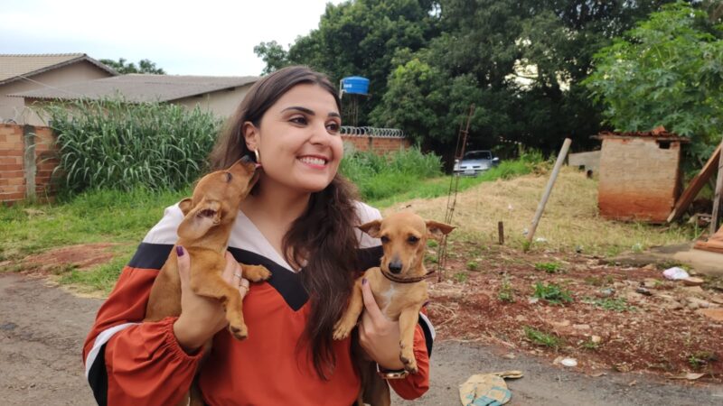 “Dezembro Verde” contra abandono de animais é aprovado na Câmara Municipal