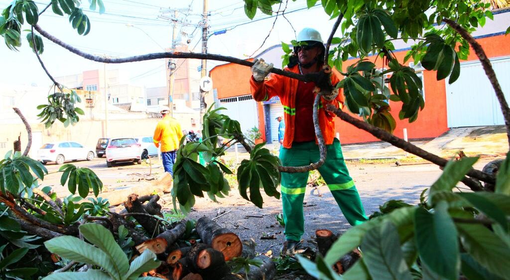 Prefeitura de Goiânia faz poda preventiva de árvores em 34 bairros até domingo (04/12)