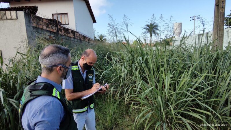 Amma autua 18.254 imóveis por descarte de entulho de forma irregular e mato alto, em 2022