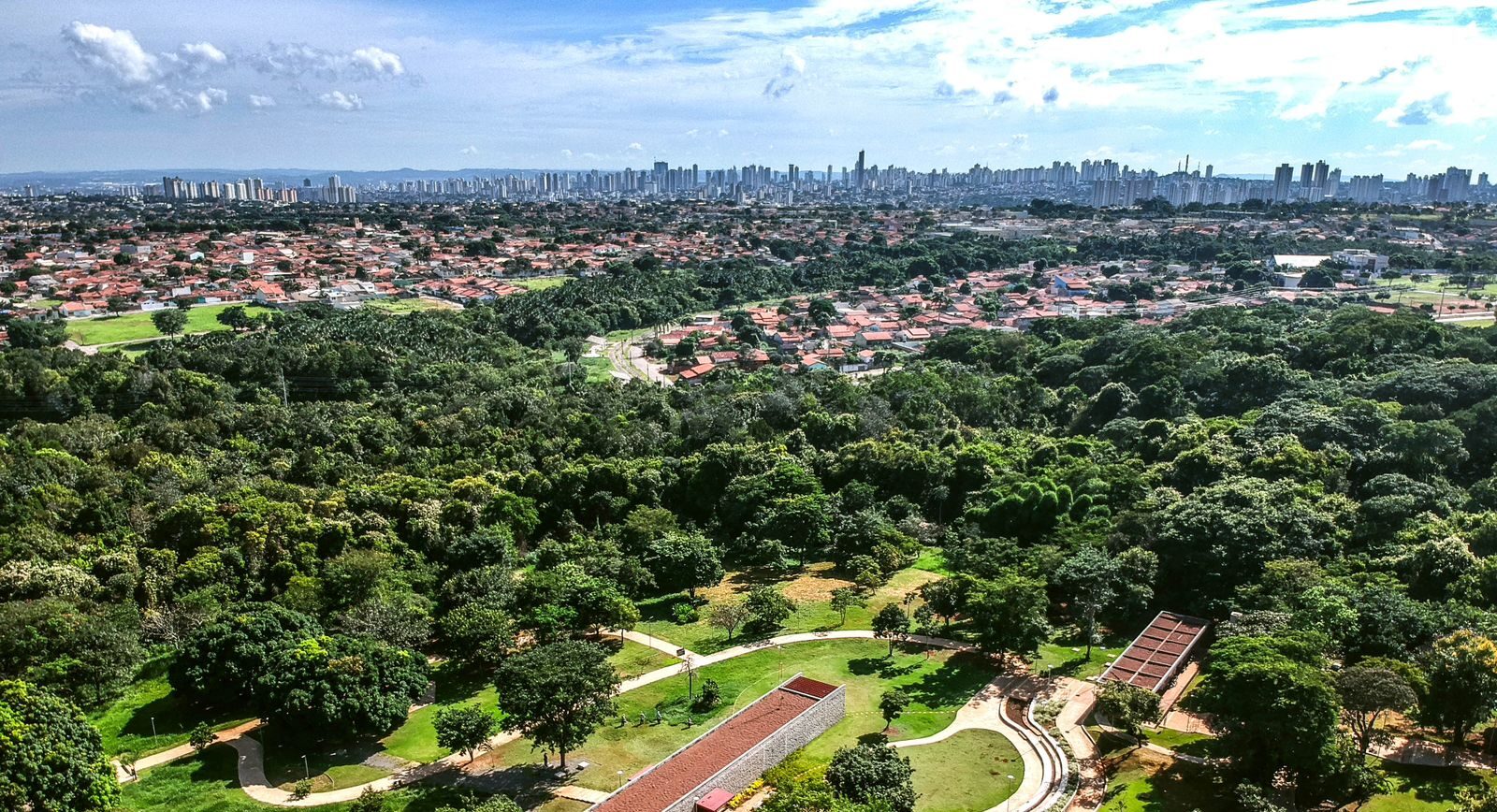 Prefeitura de Goiânia planta 22 árvores para cada espécie caída ou retirada por comprometimento de saúde, e gestão Rogério Cruz contabiliza 292 mil novas mudas