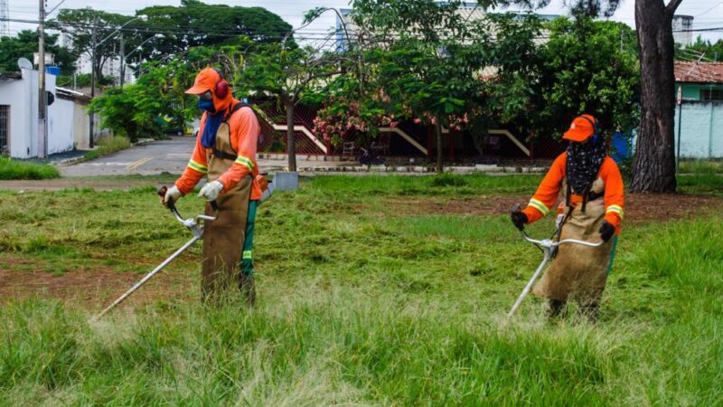 Prefeitura promove roçagem do mato alto na Marginal Cascavel e em outros 30 bairros