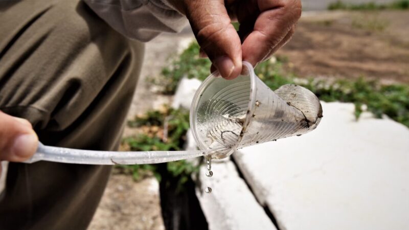 Saúde alerta para importância da prevenção no combate à dengue 