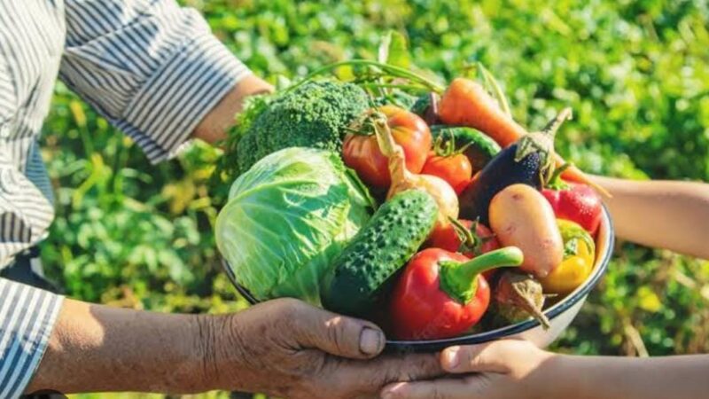 Prefeitura de Goiânia faz chamamento público para adesão ao Programa de Aquisição de Alimentos (PAA)