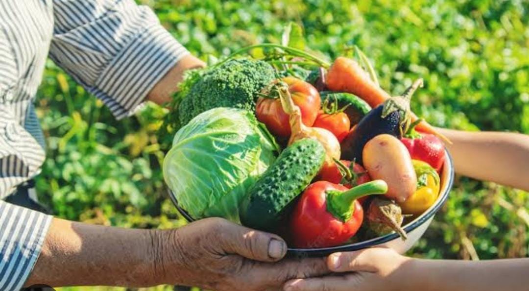 Prefeitura de Goiânia faz chamamento público para adesão ao Programa de Aquisição de Alimentos (PAA)