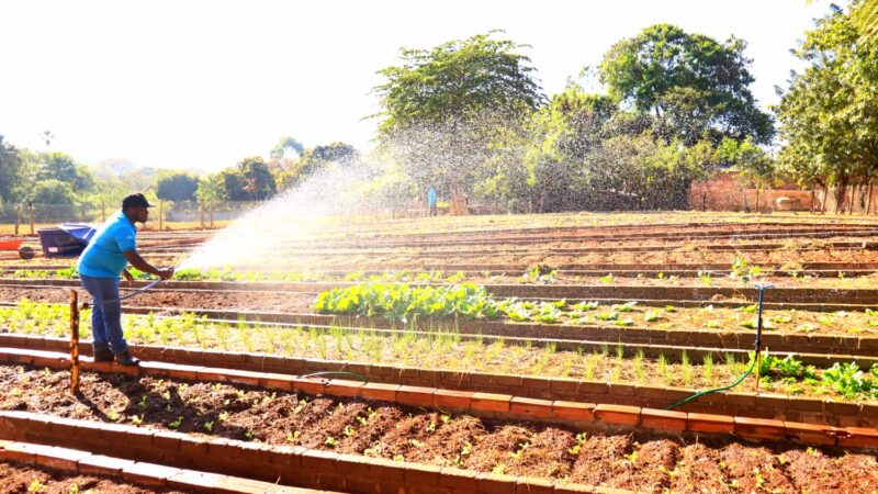 Prefeitura de Caldas Novas inaugura primeira Horta Comunitária do município