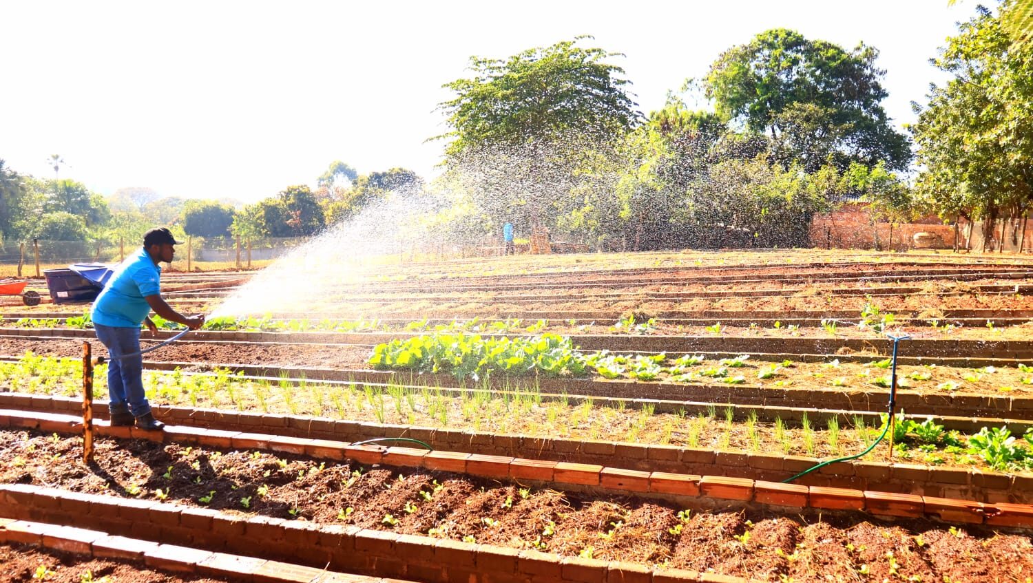 Prefeitura de Caldas Novas inaugura primeira Horta Comunitária do município