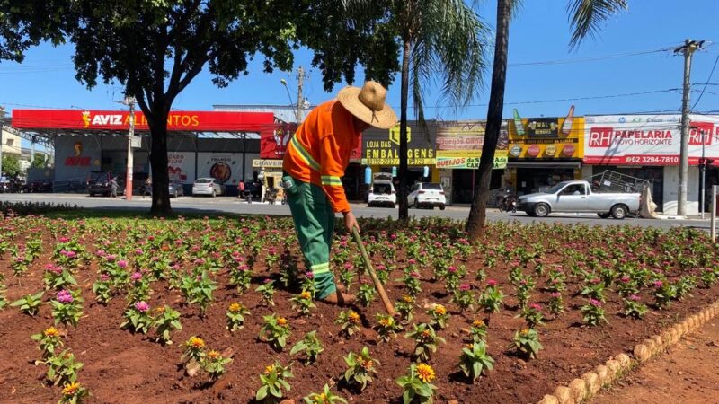 Prefeitura de Goiânia realiza serviços de paisagismo no Setor São Judas Tadeu e em outros 10 bairros