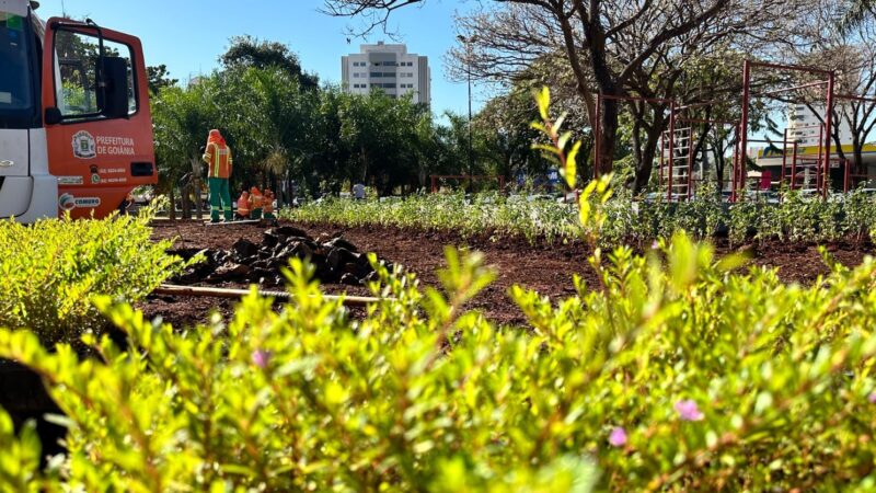 Prefeitura de Goiânia produz 600 mil mudas de flores, arbustos e árvores em 6 meses