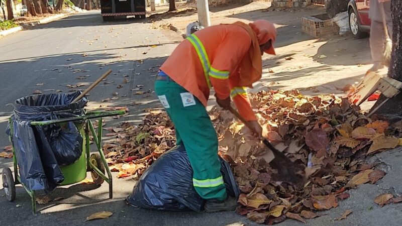 Prefeitura de Goiânia realiza serviço de retirada de folhas secas no Parque Atheneu e intensifica varrição em 150 circuitos nesta quarta-feira (02/08)