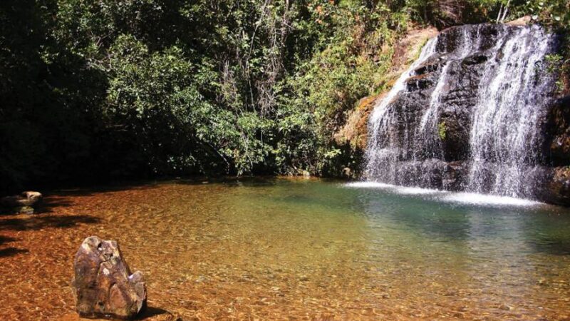 Semad lança concurso de fotografia com a temática Cerrado