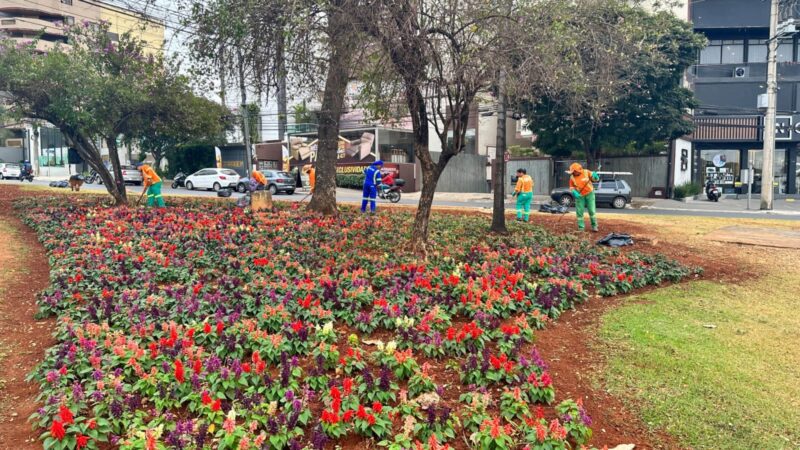 Prefeitura de Goiânia mantém praças floridas com mais de 429 mudas, apesar do período de estiagem